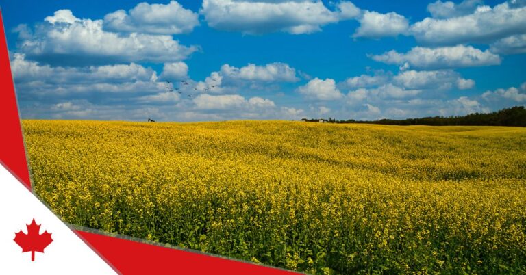 Canada Seasonal Agricultural Worker Program